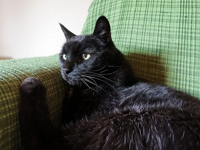 Pasqua in compagnia! 2