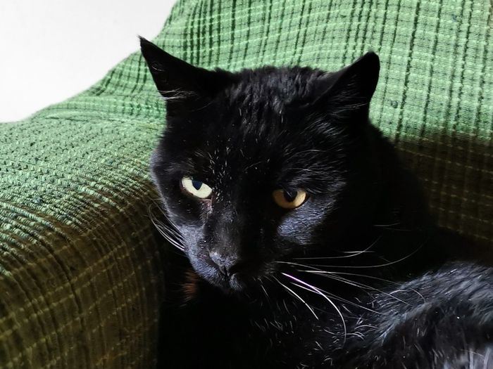 Seconda proposta 😂 2