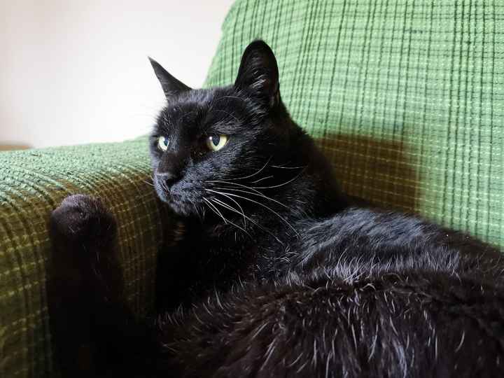 Pasqua in compagnia! - 1