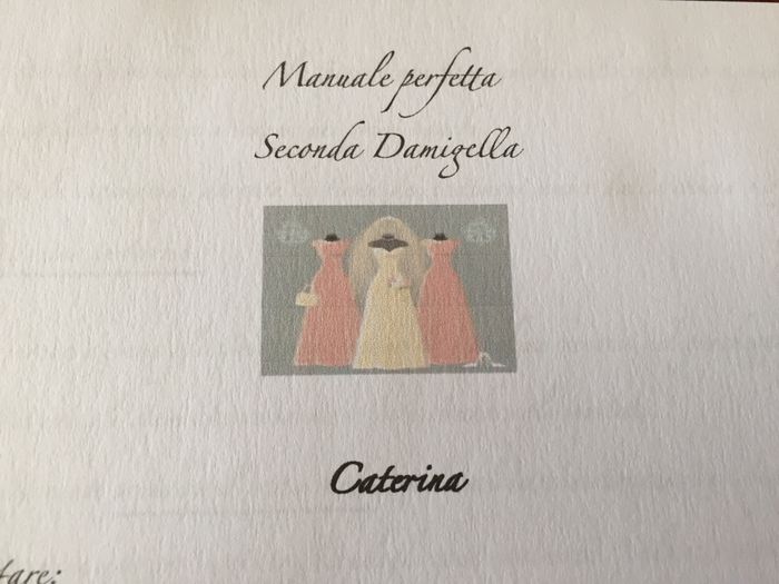 Manuale damigelle! - 2