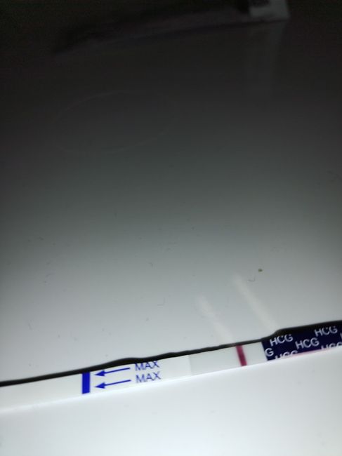 Chi non le aspetta per febbraio 2023 💪🏻❄️🍀🐞🥰 - 1