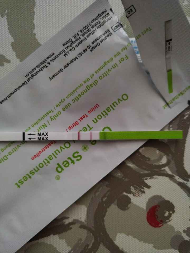 Chi non le aspetta per marzo 2023🍀 - 1