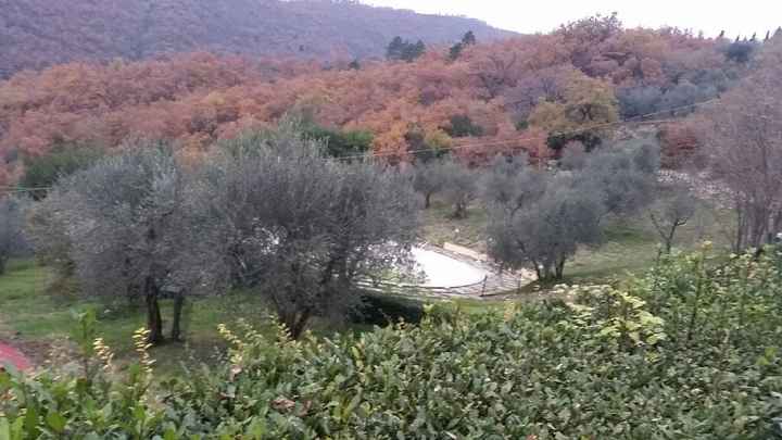 Fissata la location con fattoria didattica!! - 3