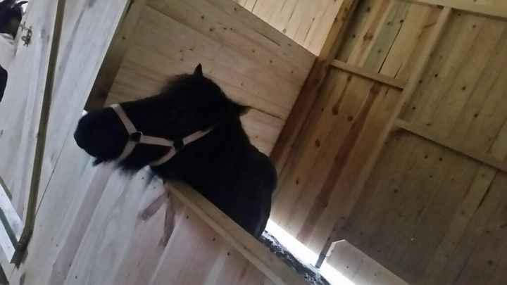 Fissata la location con fattoria didattica!! - 5