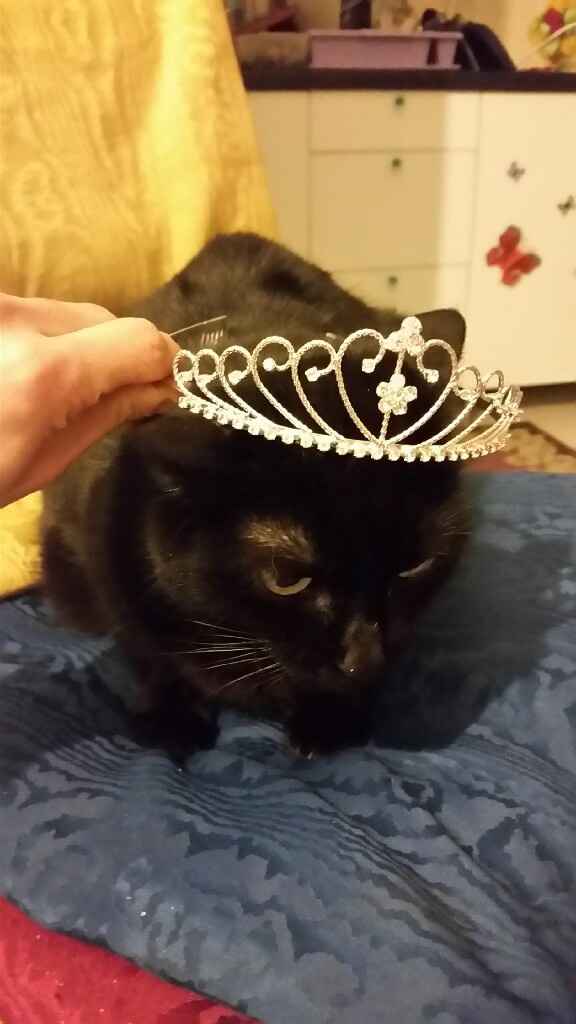 La mia tiara....e il mio buffo  peloso! - 1