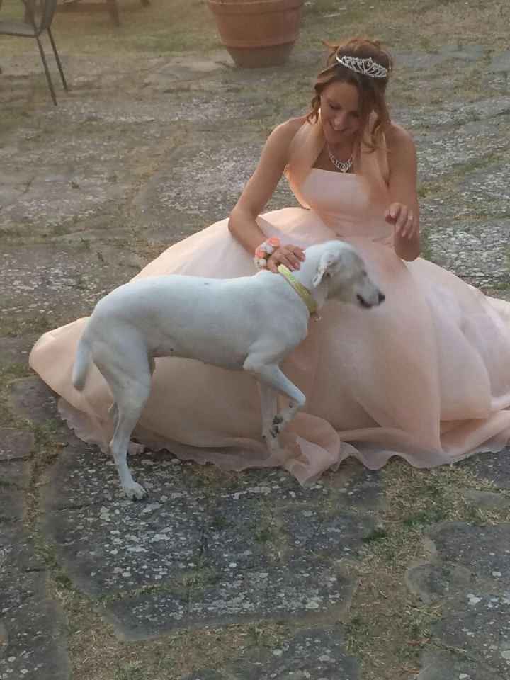 Barbie fit sposa e il suo ken. ... - 8