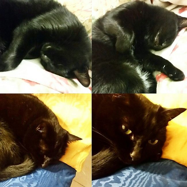 Stampando gli inviti :) - 1