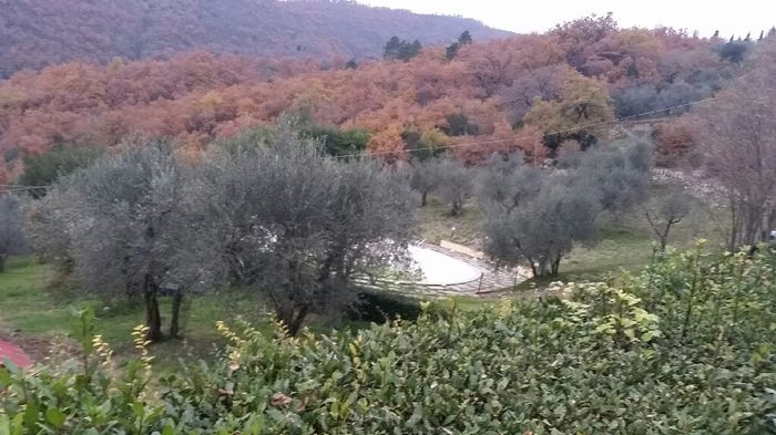 Fissata la location con fattoria didattica!! - 3