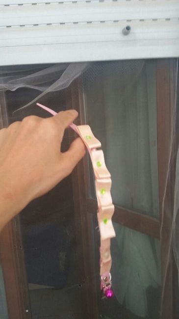 Special guest a 4 zampe - 3