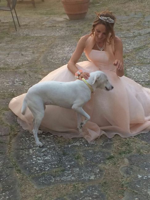 Barbie fit sposa e il suo ken. ... - 8