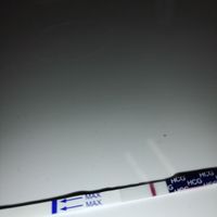 Chi non le aspetta per febbraio 2023 💪🏻❄️🍀🐞🥰 - 1