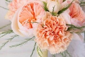 Fiori settembre aiuto! - 1