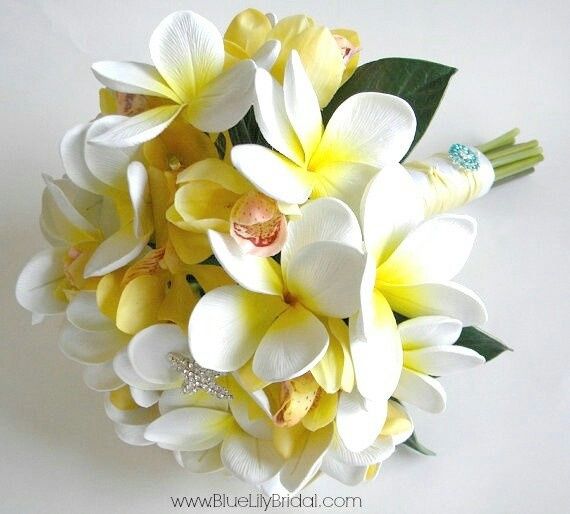 Quale preferite tra i due? - 2