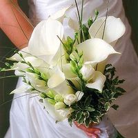Bouquet consiglio - 3