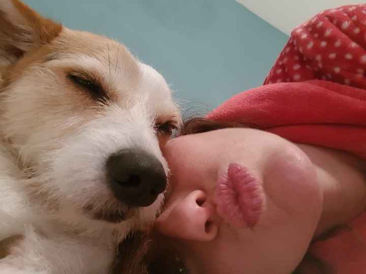 Vivere insieme ad...un animale domestico! - 1