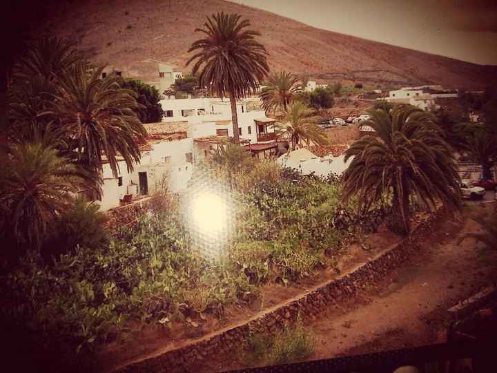 Dove andare alle canarie? - 8