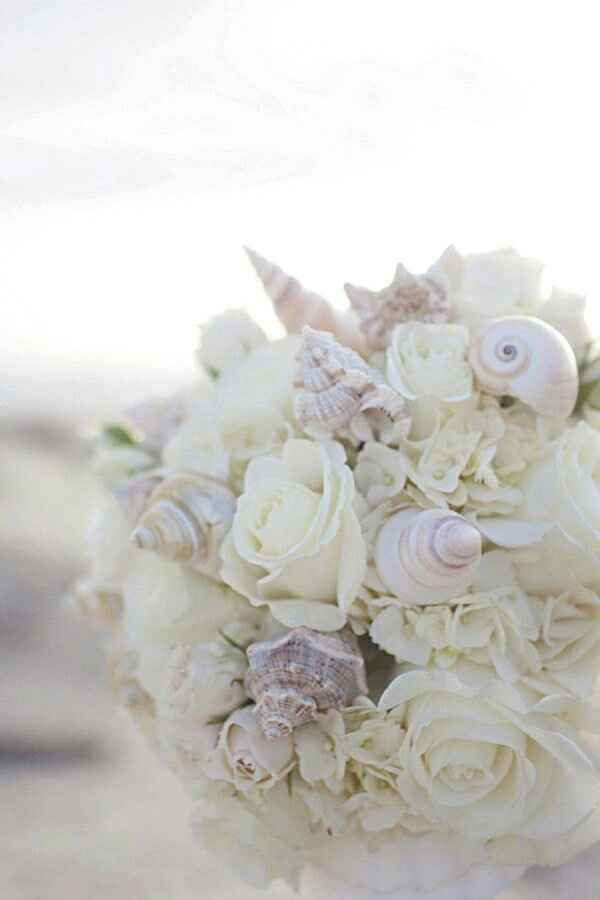 Bouquet.. pareri - 1