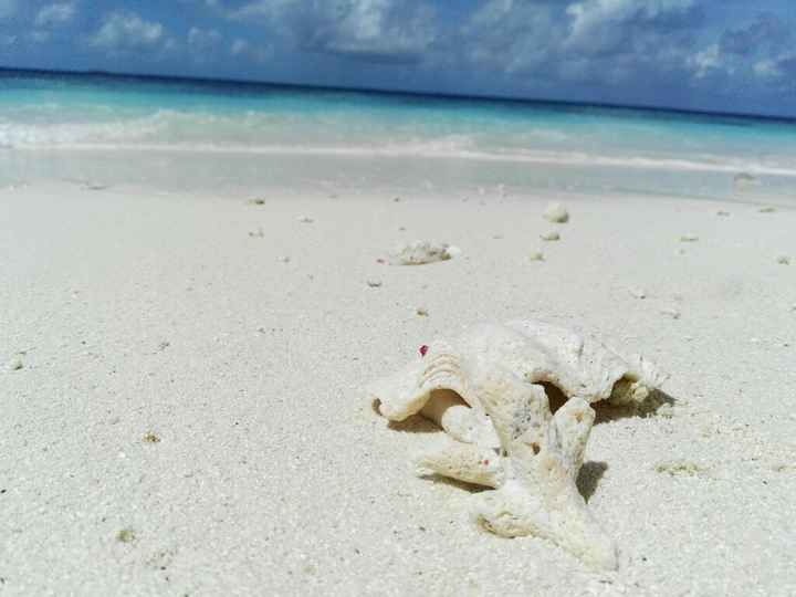 Maldive - 3