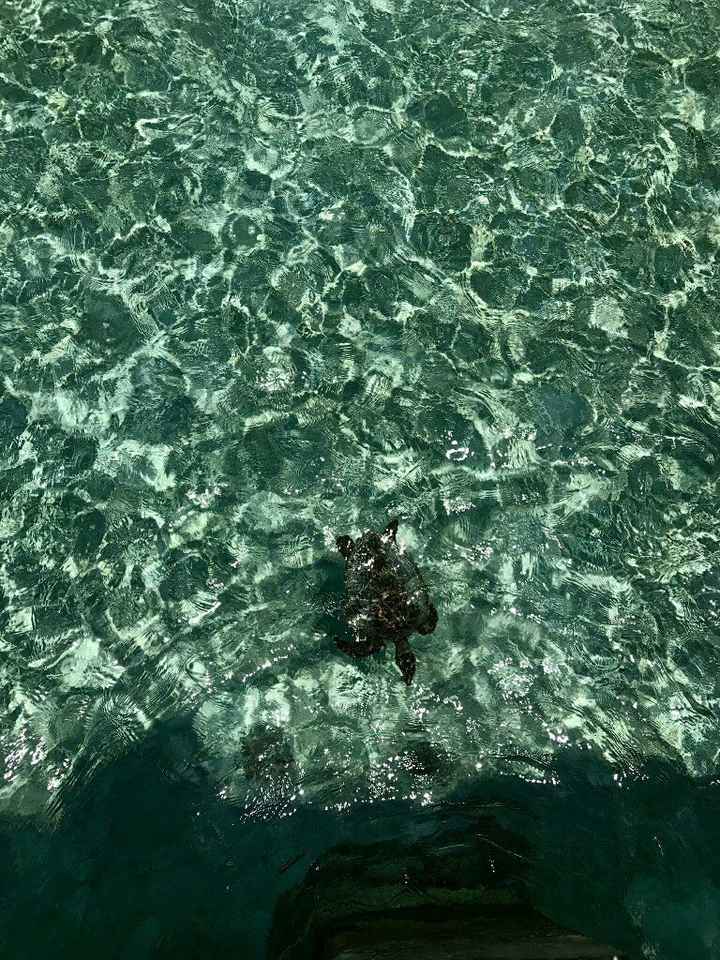 Maldive o canarie??? - 6