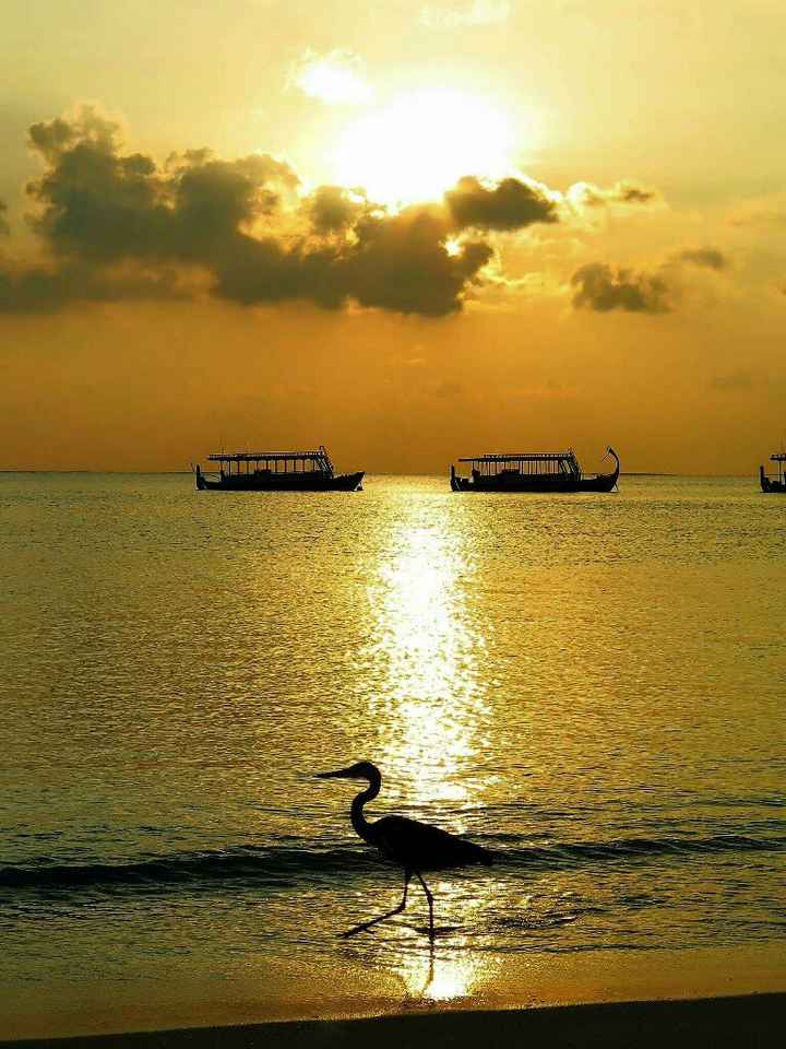Maldive o zanzibar - 9