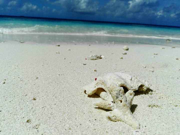 Maldive o zanzibar - 16