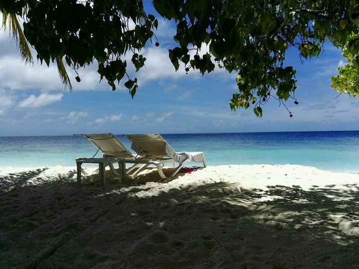 Maldive o zanzibar - 17