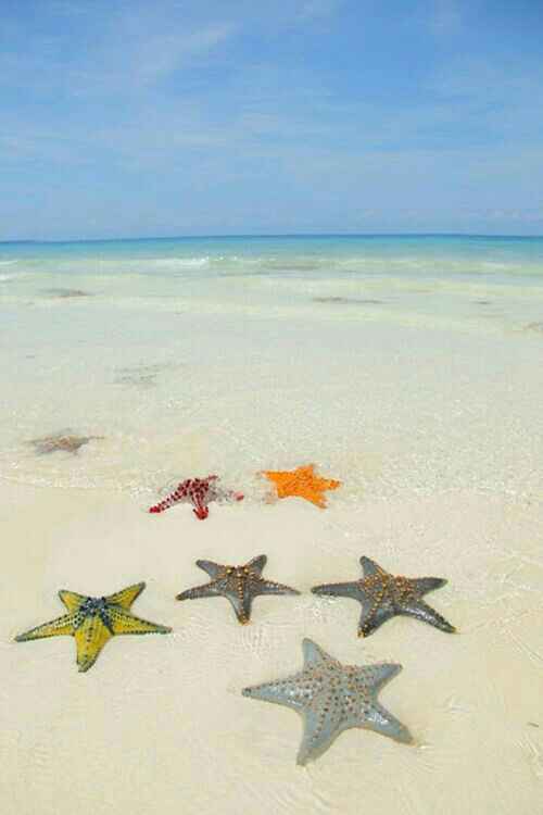 Maldive o zanzibar - 4