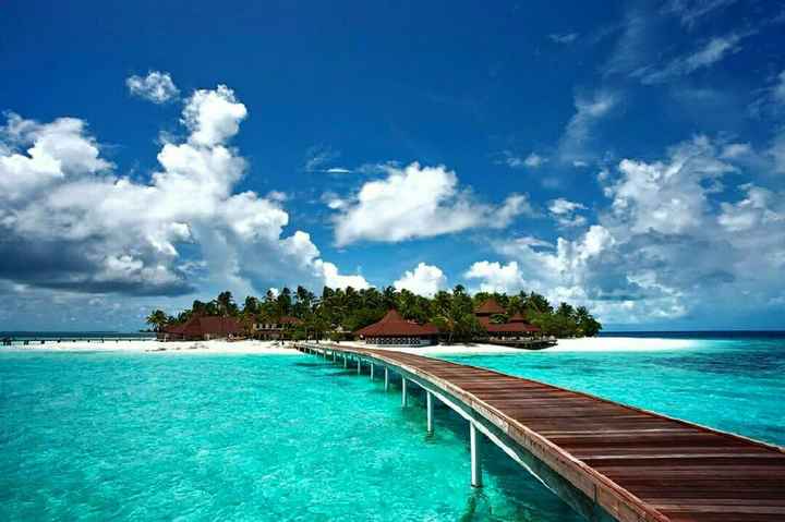 Resort maldive - 5
