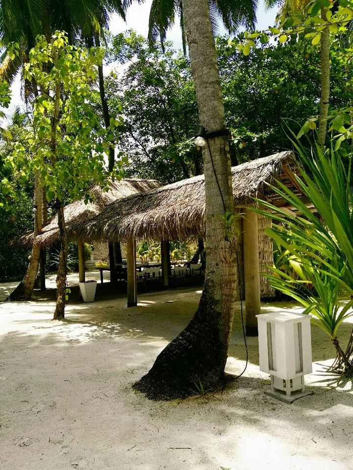 Maldive/bahamas a maggio? - 6