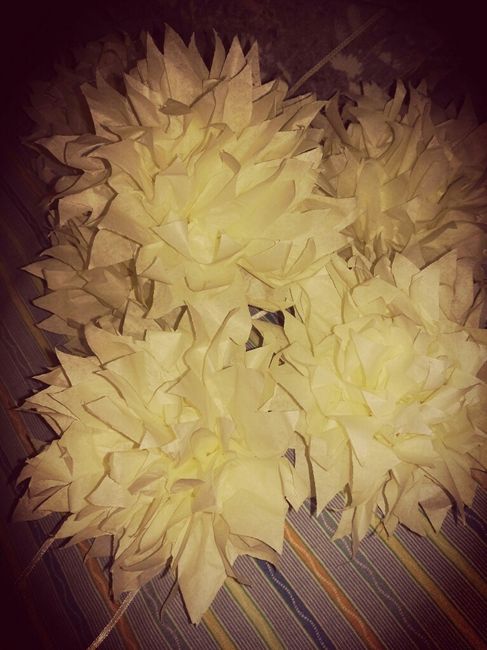Fiori...help me ragazze...prezzi - 1