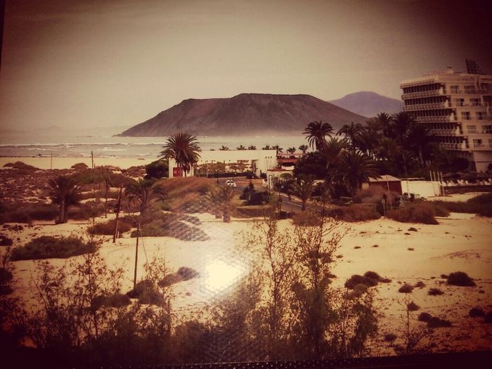 Dove andare alle canarie? - 2