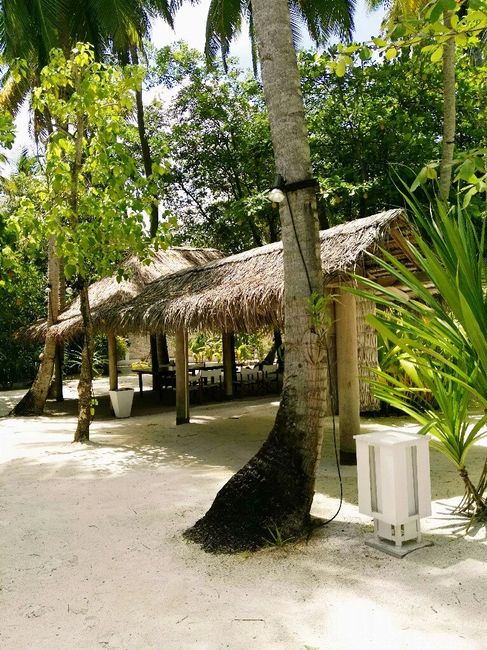 Siamo in viaggio di nozze...sri lanka e maldive - 4