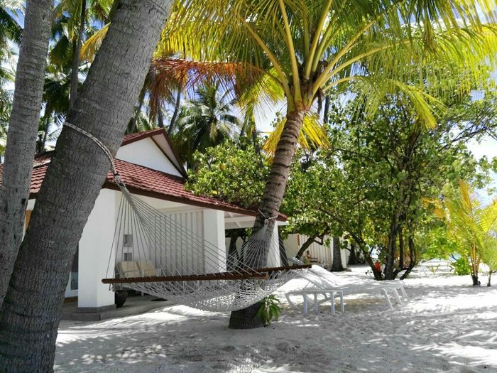 Maldive - 1