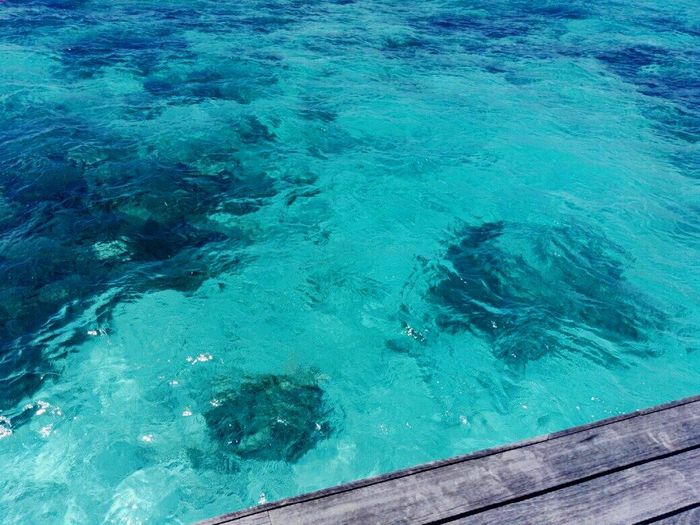 Maldive o zanzibar - 11