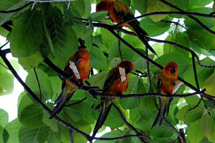 Maldive o zanzibar - 13