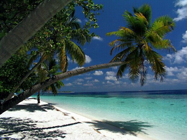 Maldive/bahamas a maggio? - 2