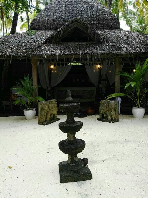 Maldive/bahamas a maggio? - 5