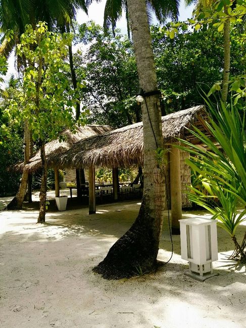 Maldive/bahamas a maggio? - 6