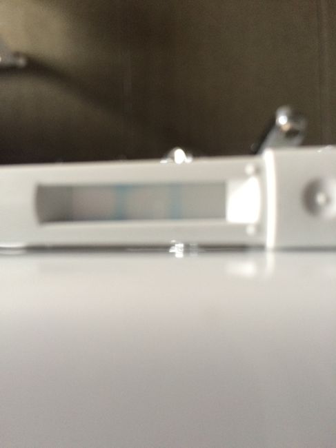 Stick persona 14 po - 2