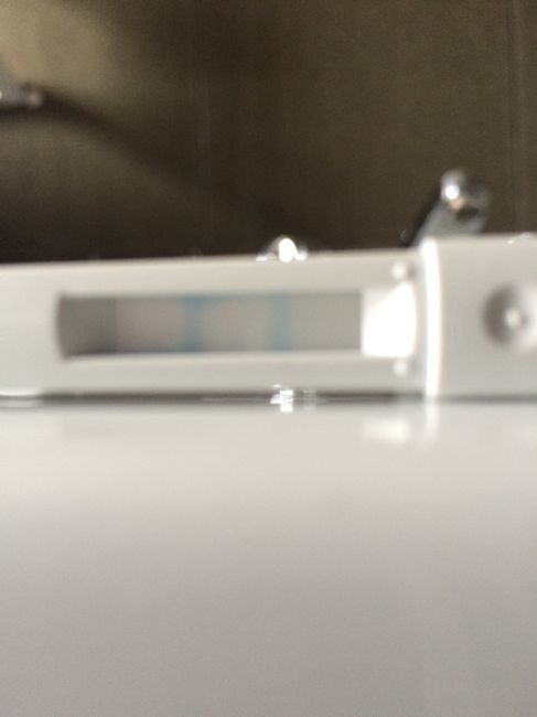 Stick persona 14 po - 1