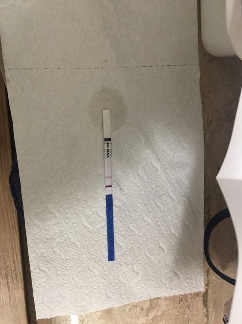 Aspiranti mammine Maggio 2019 1