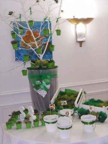 Allestimento piantine