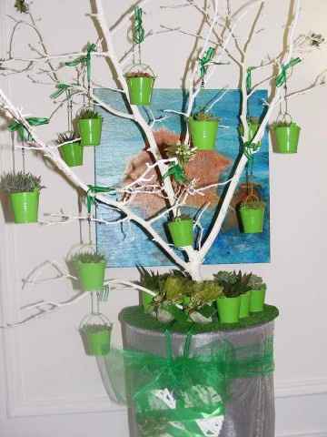 Allestimento piantine