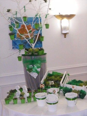 Allestimento piantine