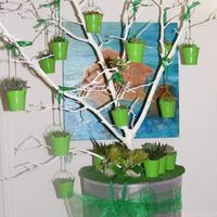 Allestimento piantine