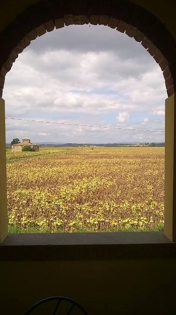 Toscana nel Cuore 