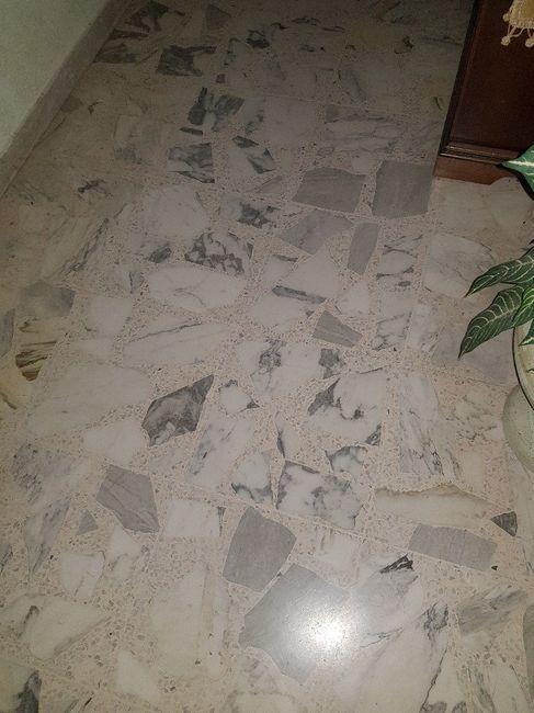 Panico pavimento! - 1