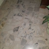 Panico pavimento! - 1