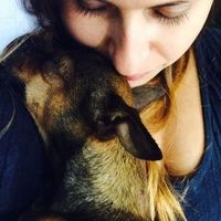 Too cute: i vostri amici animali - 1