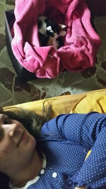 Le foto con i nostri pelosoni - 1